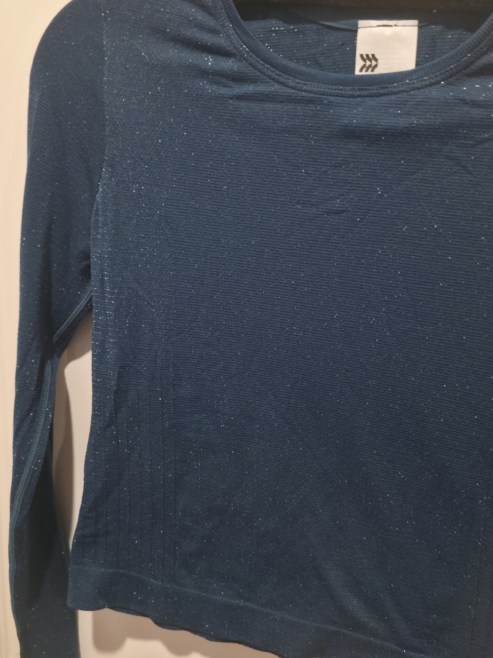 Sparkle Long-Sleeve Crewneck Top - Blue